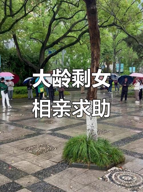 宁波靠谱相亲方式推荐插图