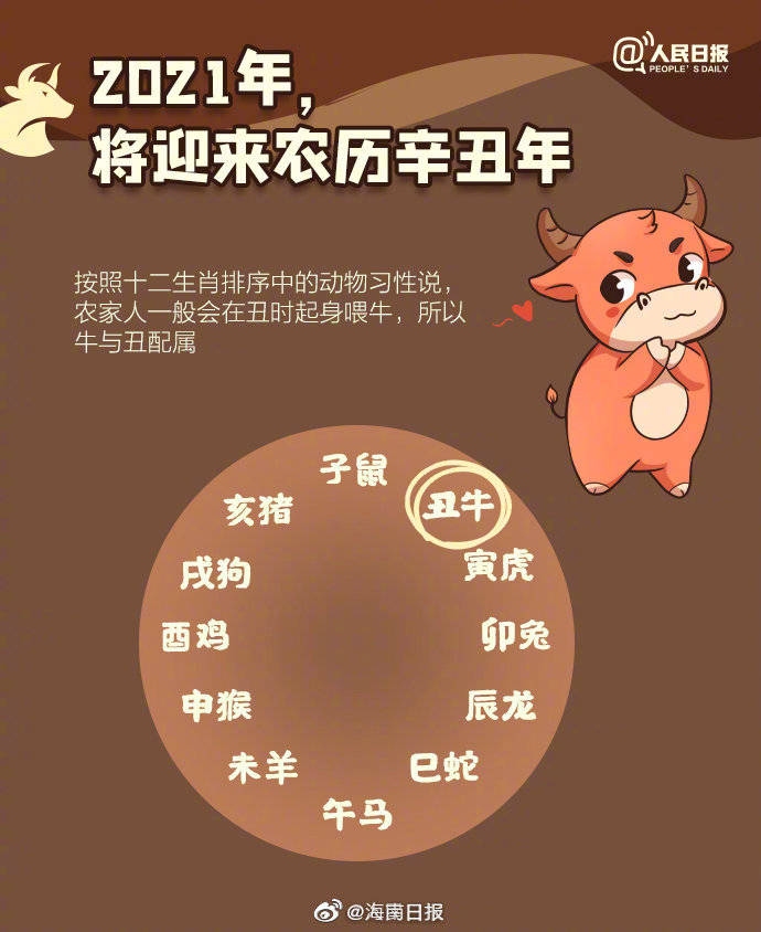 牛年周期循环，解释，牛年是公历年份中特定的一类，每隔12年会重复一次。根据中国农历的生肖纪年法，属相共有十二种分别为鼠、牛等依次轮换。而牛年的出现就是这十二个轮回中的一个环节，即每过12年后就会再次迎来牛年。插图