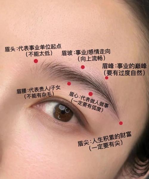 女人八字眉的命运解析插图