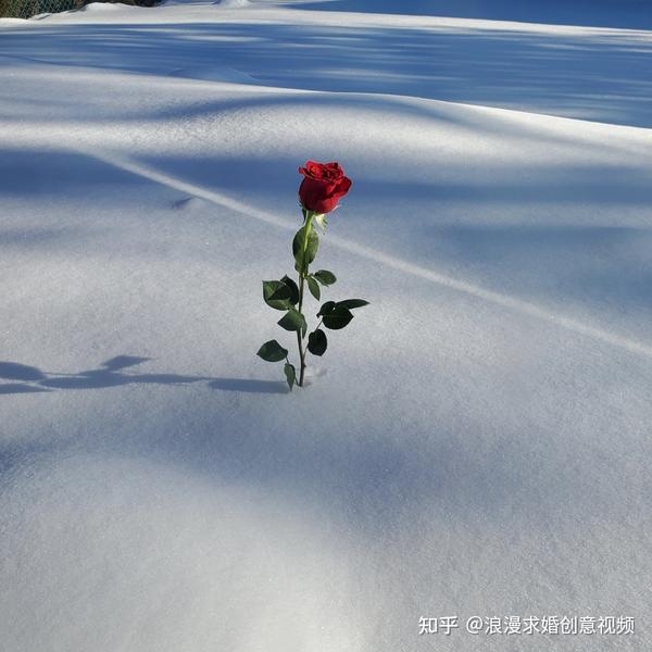 女人梦见下雪寓意解析，财运、情感与人际关系的预兆？插图