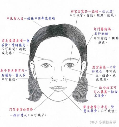 女人面相看婚姻，面相揭示的婚姻真相插图
