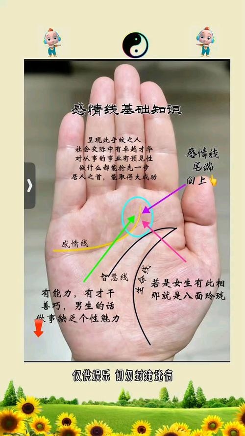 女生感情线图解，复杂与单纯并存的情感轨迹插图