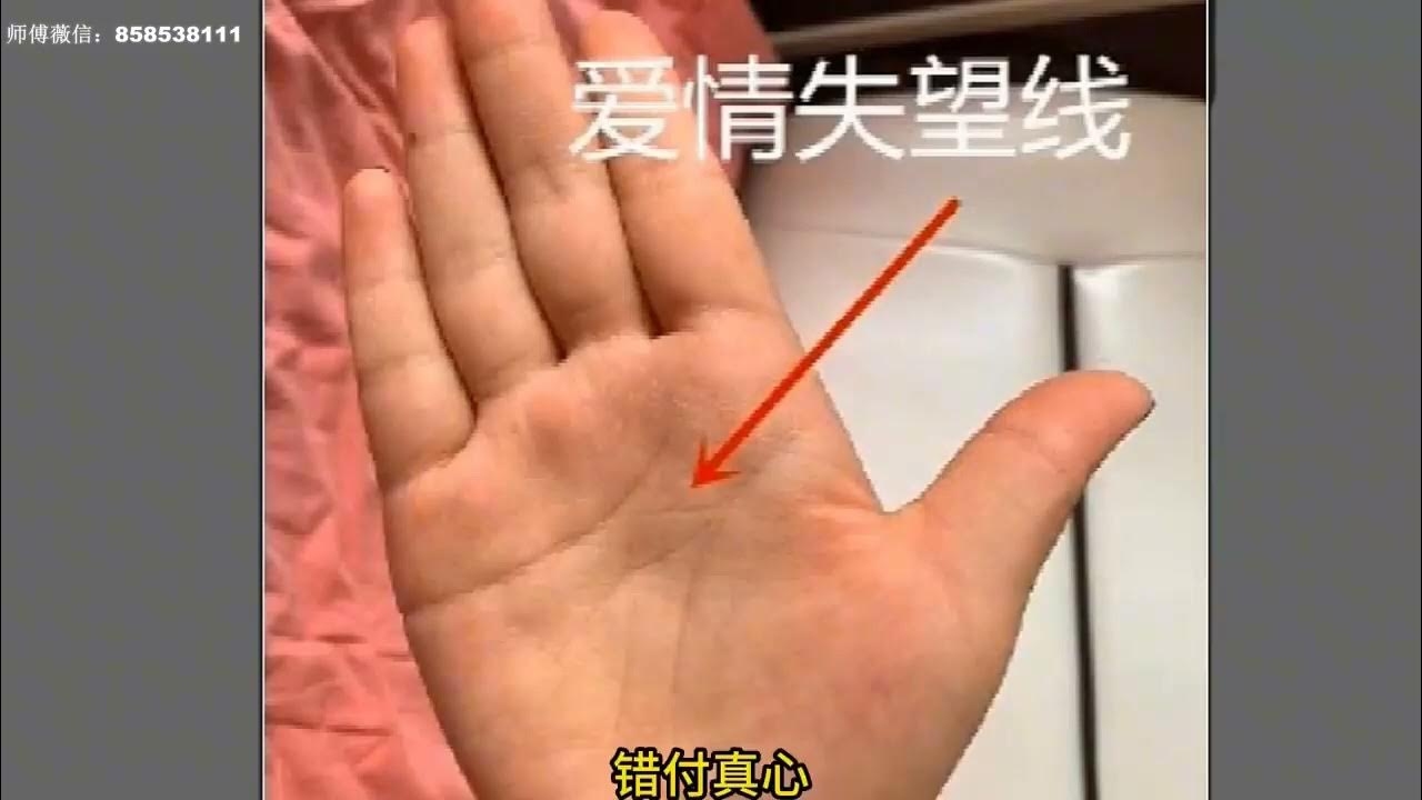 女性假断掌手相详解插图