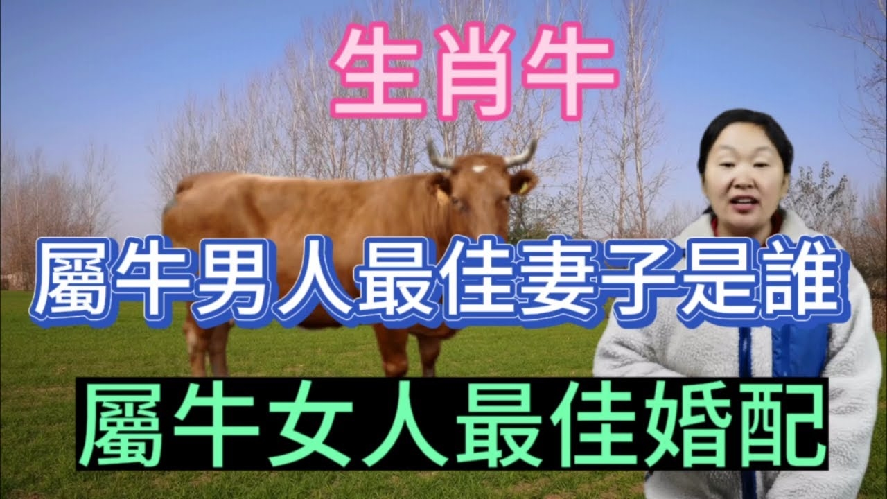 年属牛女动婚最佳时机插图