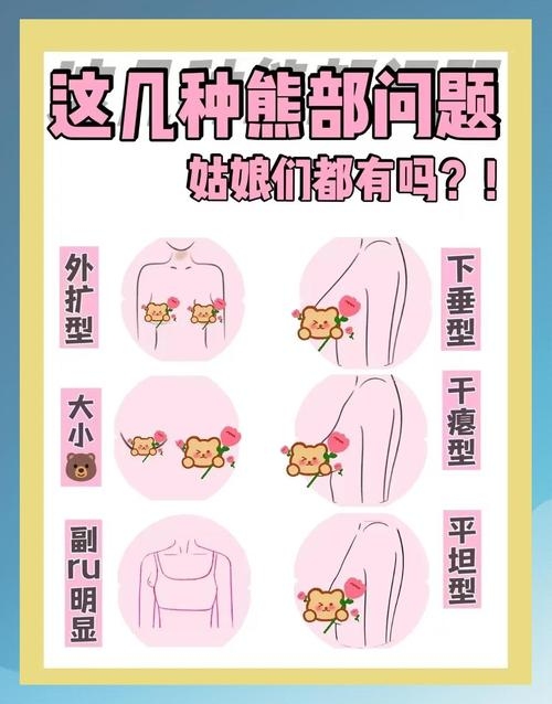 女性胸部与经济状况关联探讨插图