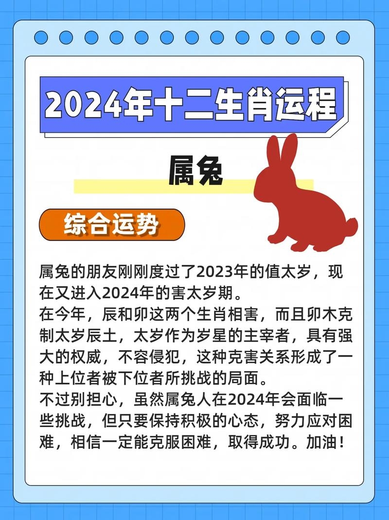 年属兔人2024运势女性插图