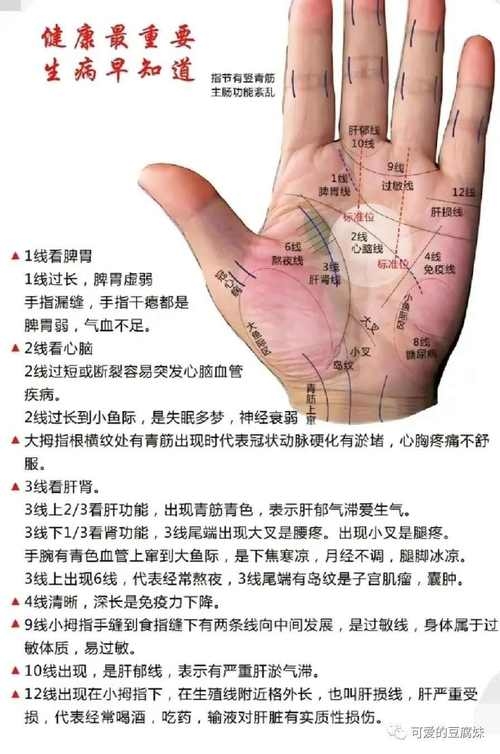 前列腺与男人生命线，手相解读及健康警示插图