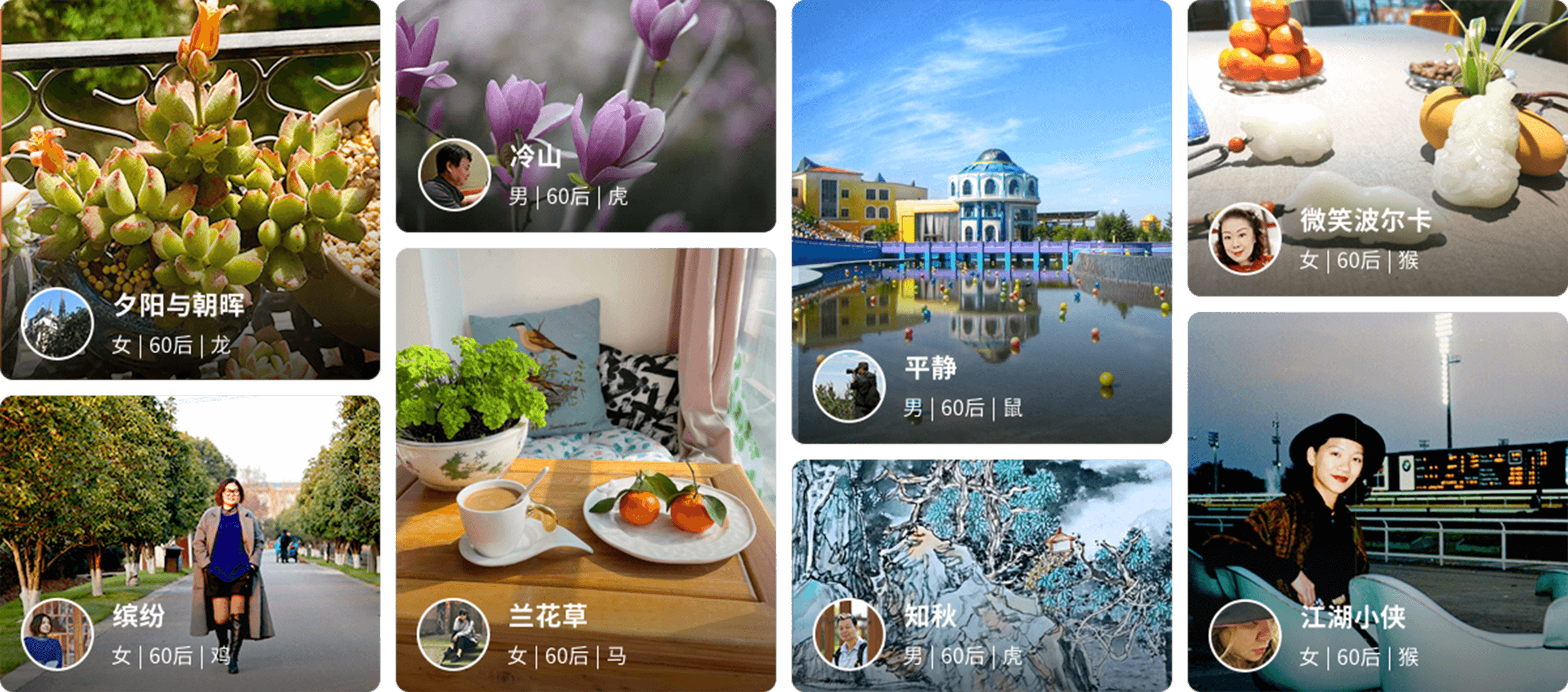 情人岛交友，拓展社交圈，寻觅情感寄托与志同道合伙伴插图