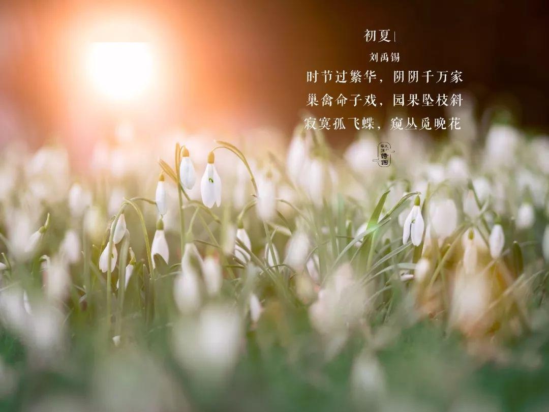 情商高有内涵的网名推荐，，梦里花落知多少。，清风明月心。，静欲沉香。，与君醉笑三千场。，风月斟酒，温情相伴。，云卷云舒，淡然处世。插图