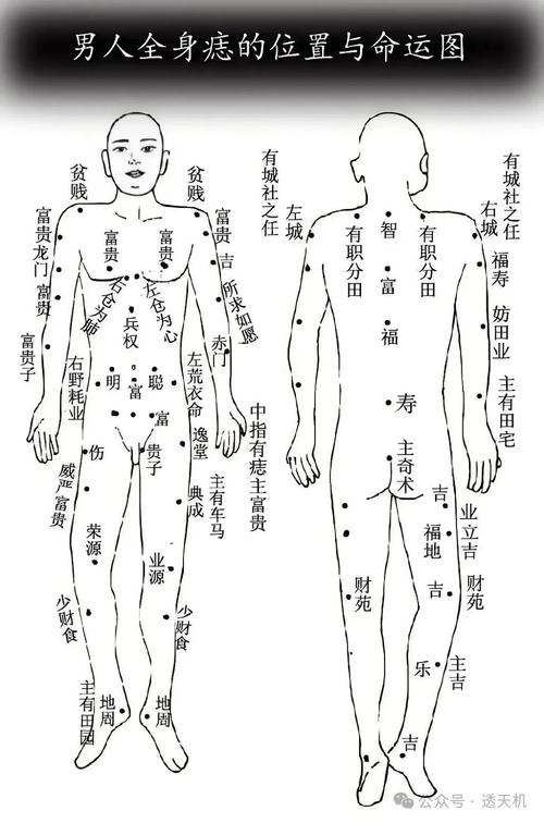 全身痣相图解详解，富贵、健康与命运解析插图