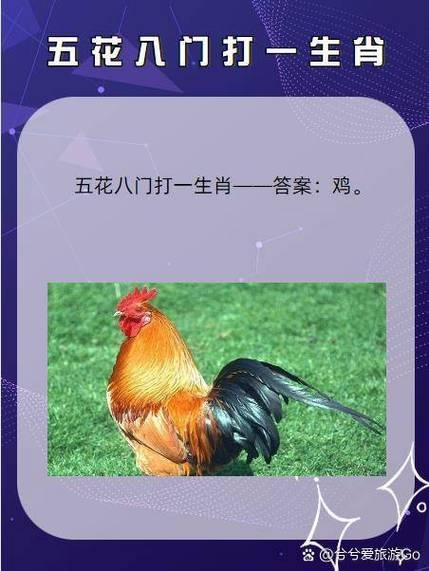 七擒打八猜生肖鸡插图