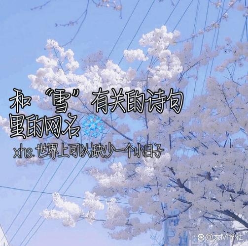 清新淡雅网名精选，雪中画、青栀之美、初露锋芒的优雅之韵插图