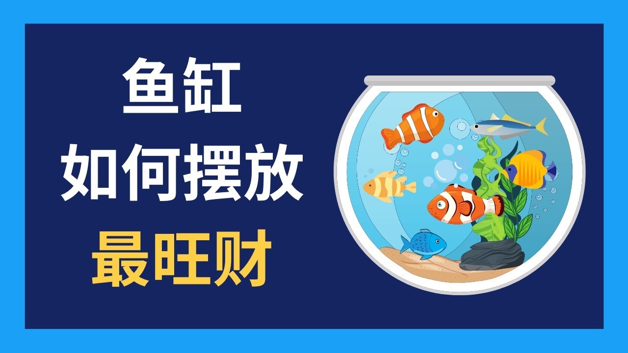 入户门与鱼缸摆放，聚财还是漏财？的风水解析插图