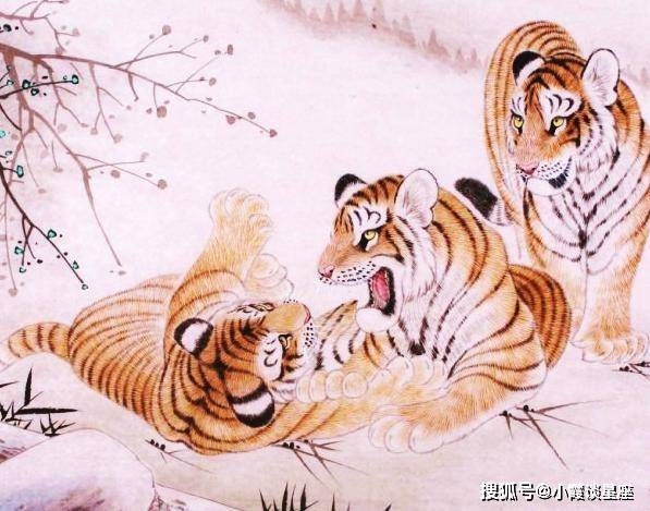 如鱼得水,生肖探秘插图 如鱼得水,生肖探秘插图