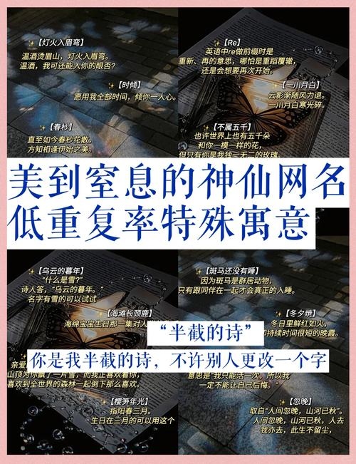 如何取个好网名，名字寓意与个性化建议生成，精选男女长期不换的优质网名推荐及解析插图