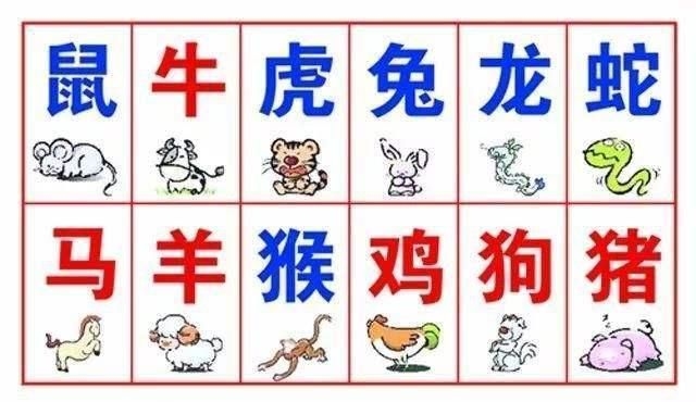 如雷贯耳猜一生肖——龙？还是虎、牛等其他生肖？插图