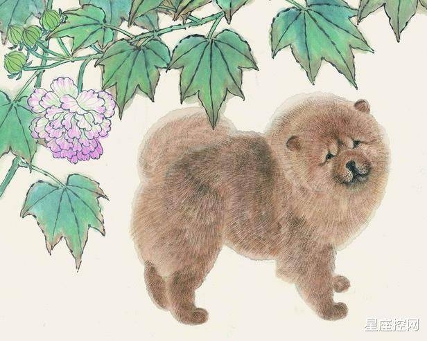 如影随形的生肖，龙与狗，忠诚相伴不离弃插图