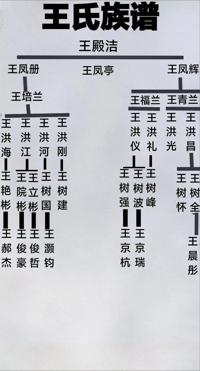 山东王氏族谱探源，字辈排序与家族文化传承插图