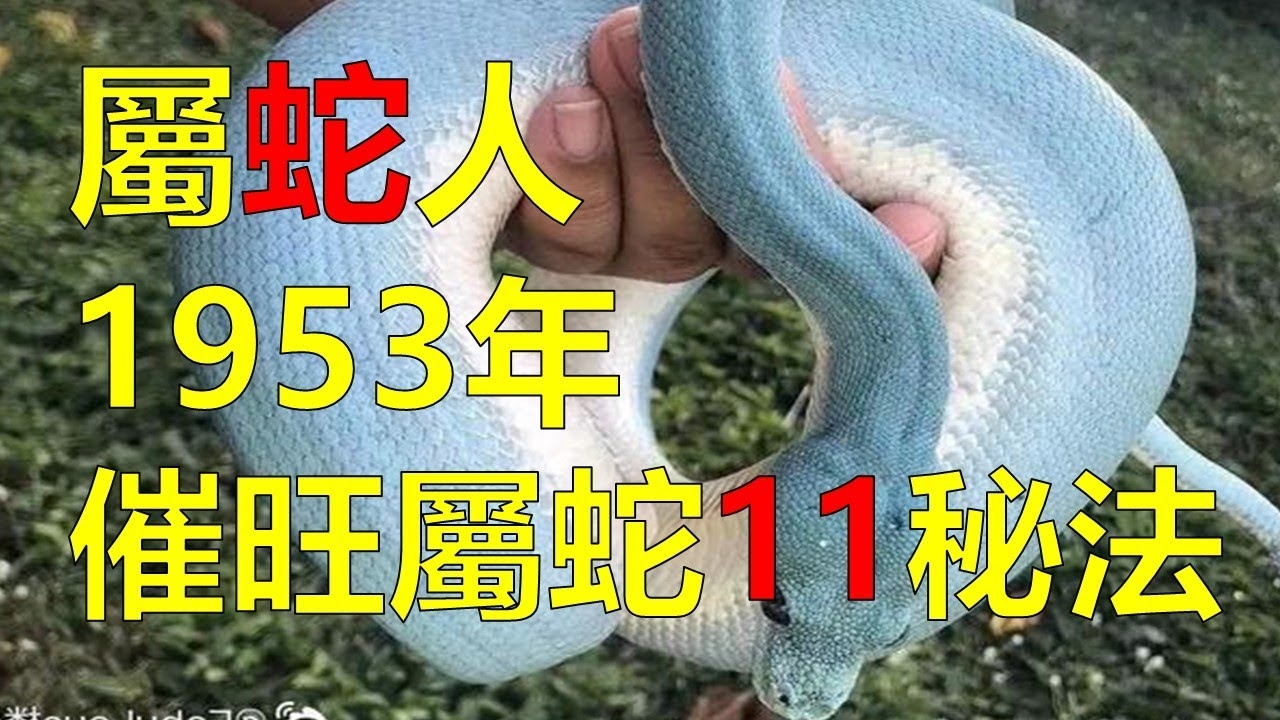 水到渠成代表蛇生肖。插图