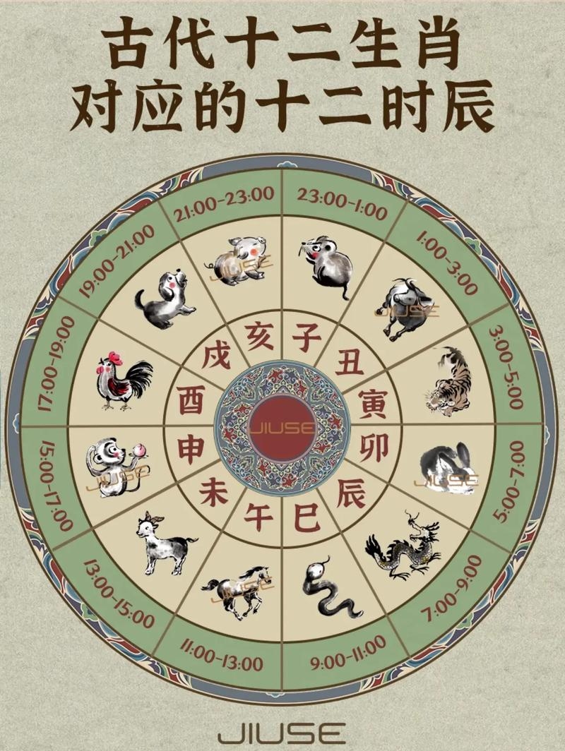 十二地支与生肖阴阳解析，子丑寅卯时辰详解插图