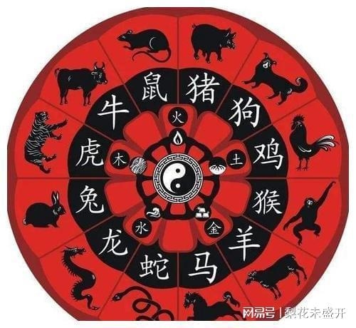 十二生肖排行榜与十二生肖排行表插图