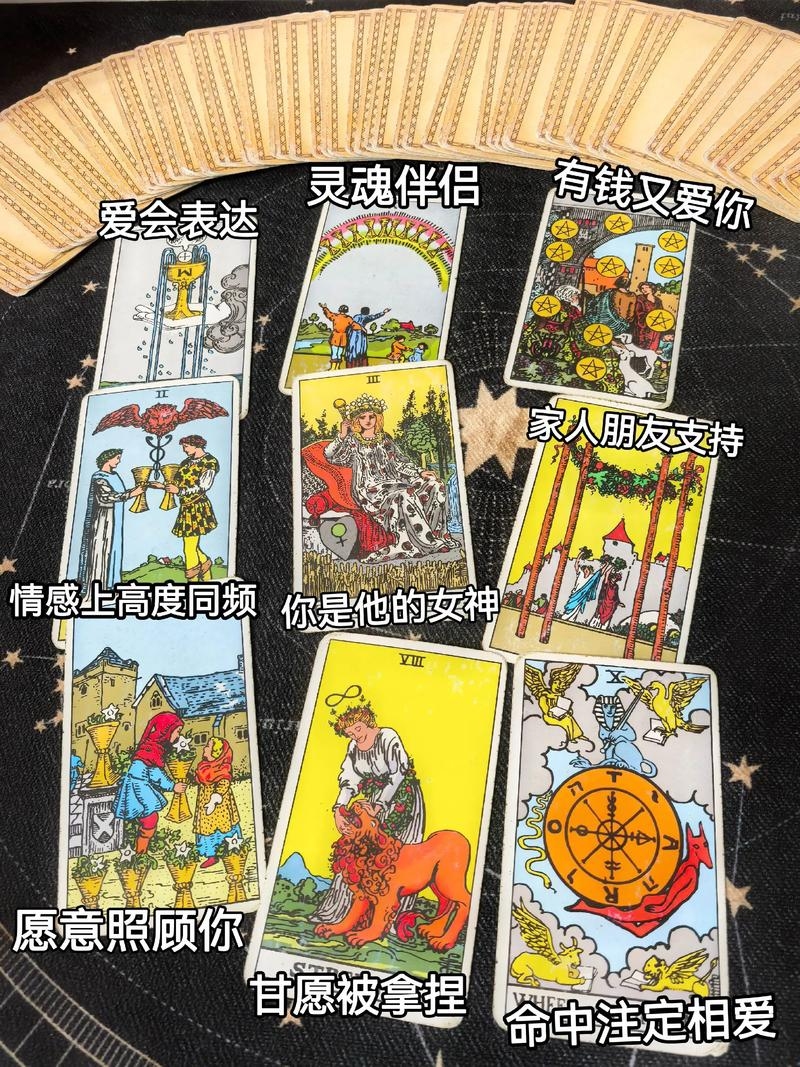 赛格塔罗牌，探索命运与游戏之谜插图