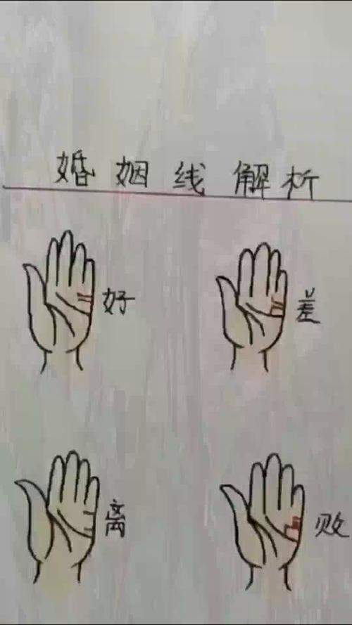 算婚姻命理，情路如何铺插图