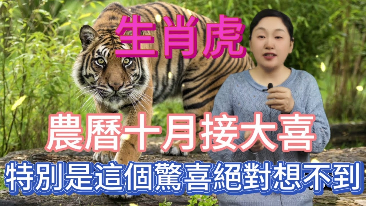 神机妙算指虎生肖。插图