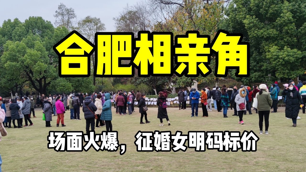 石家庄相亲角概览插图