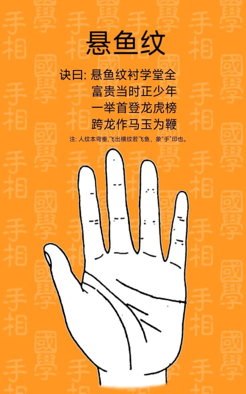 双龙出海，解读命理格局与手相特征，揭秘富贵长寿之道及电影双龙出海背后的故事插图