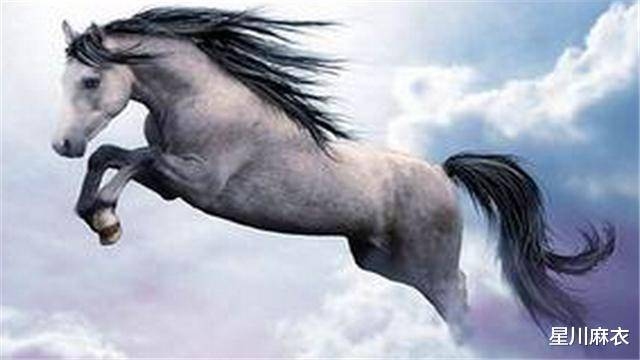 水落石出生肖马插图 水落石出生肖马插图