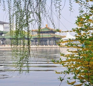 水木清华生肖虎插图