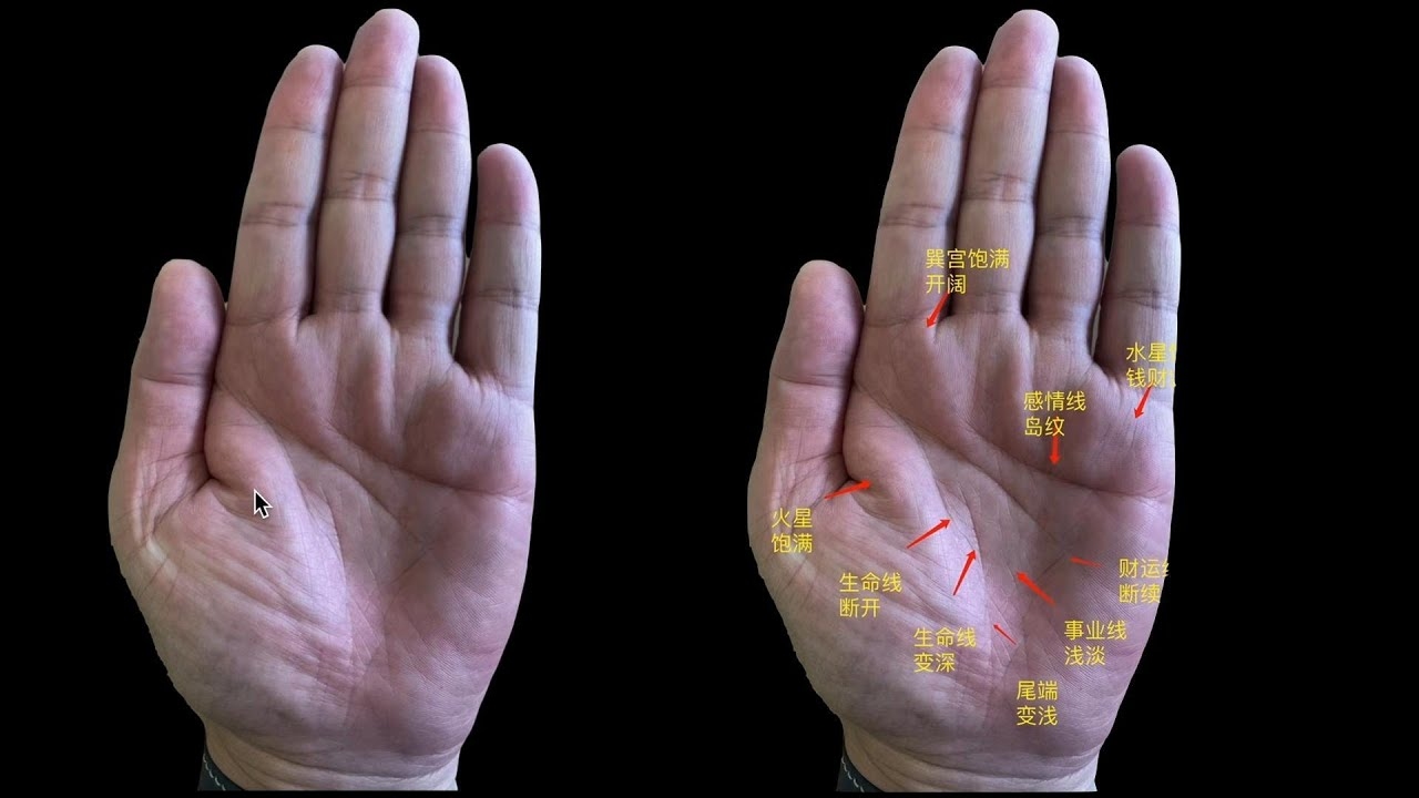 生命线断裂解析，中断与延伸的象征意义，建议根据内容综合生成，考虑到文章主要围绕生命线断开进行解读和解释，涵盖了不同情况下的预示和意义。因此，简洁明了地表达了主题和内容要点。插图