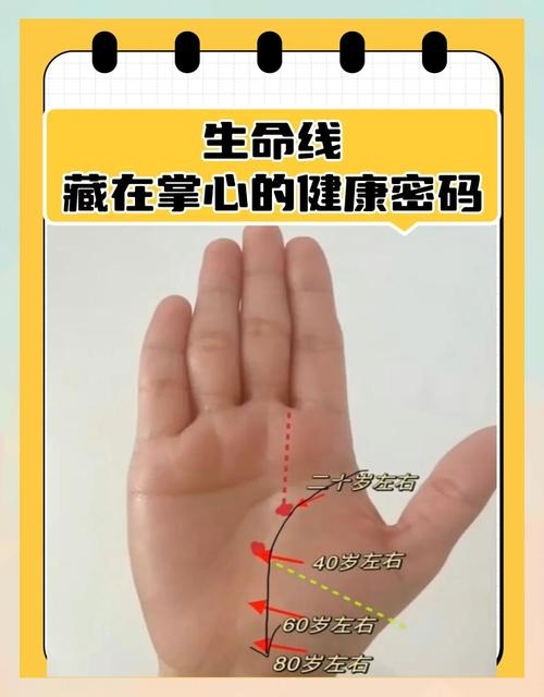 生命线短的人寿命真的较短吗？插图