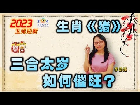 三日三省猜一生肖,猪插图 三日三省猜一生肖,猪插图