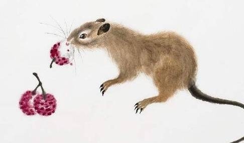 杀声四起指生肖鼠。插图