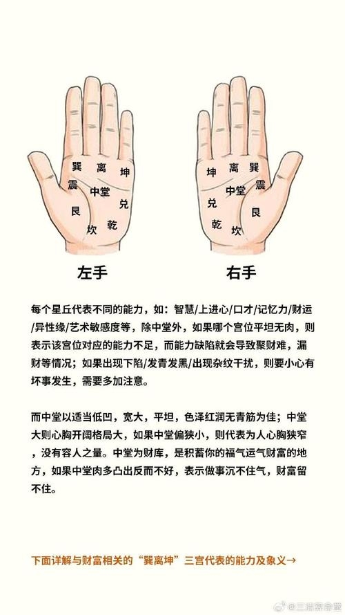 身上痣的位置与命运图解，掌痣详解及吉凶预测插图