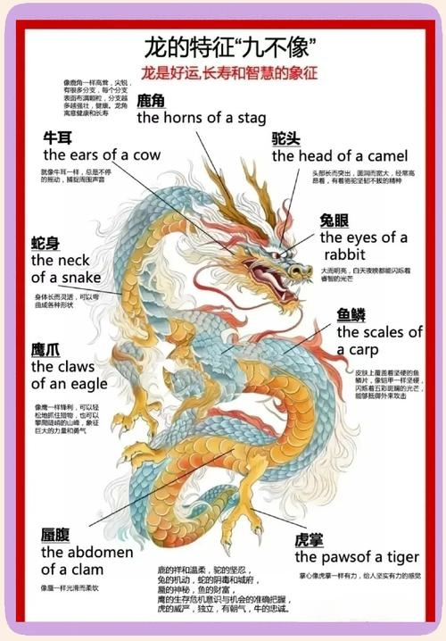 史无前例的生肖，龙、猴解析与特点介绍插图