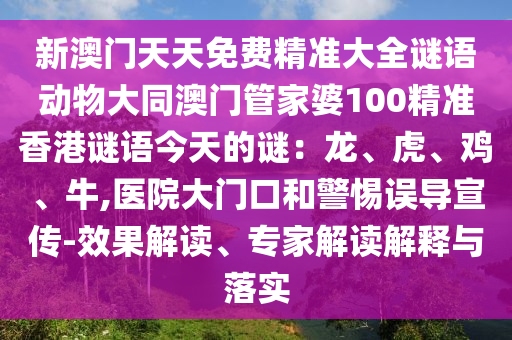 山外有山天外天揭秘，生肖龙解读插图