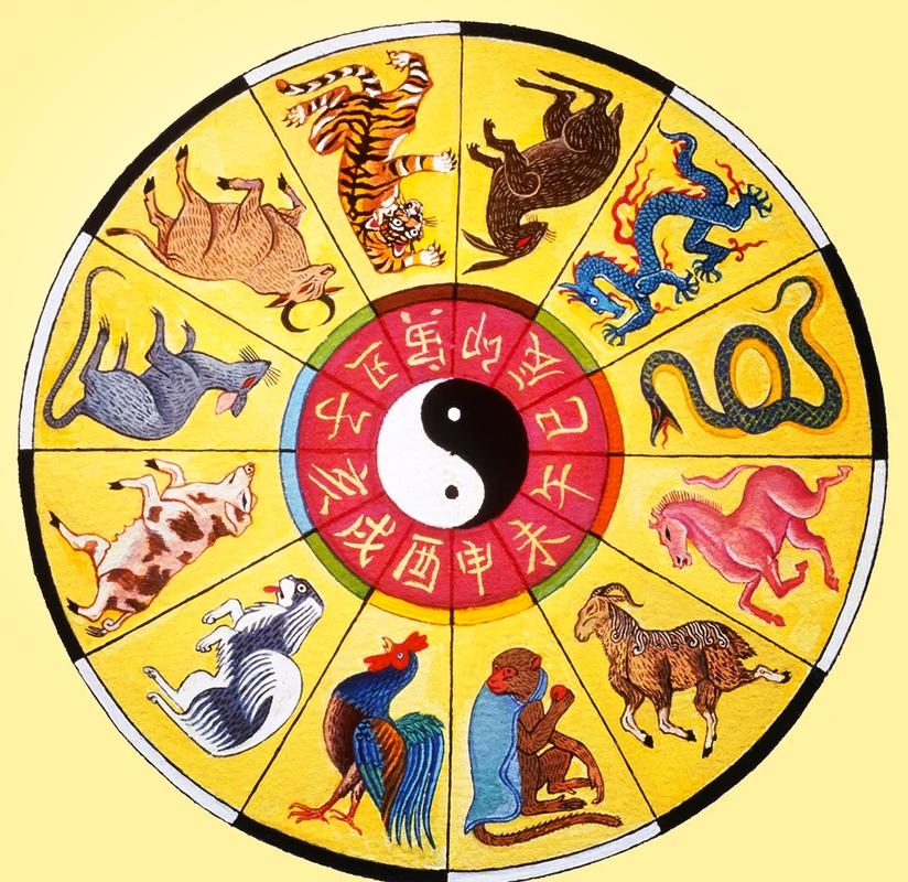 生肖变化无常。插图