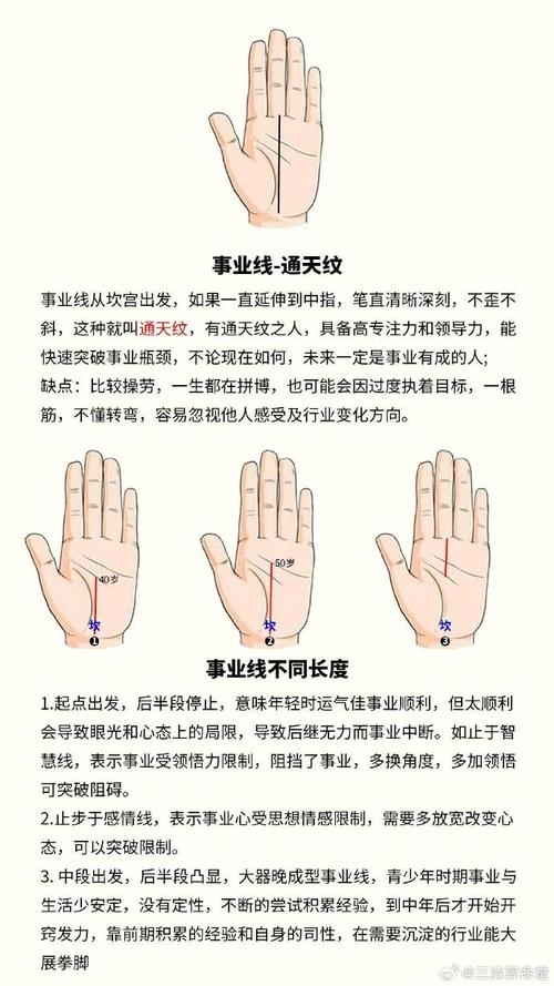 手相成功线解析,事业与运势的预示符号及其含义插图 手相成功线解析,事业与运势的预示符号及其含义插图