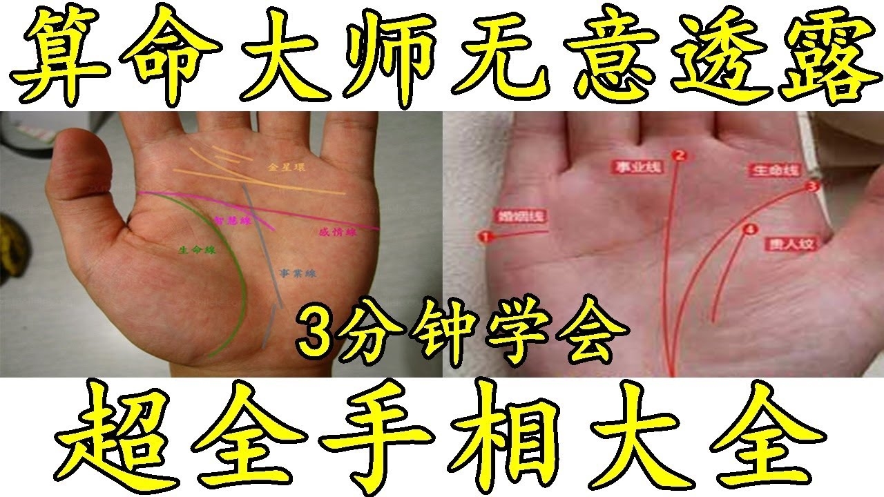 手相大师推荐插图