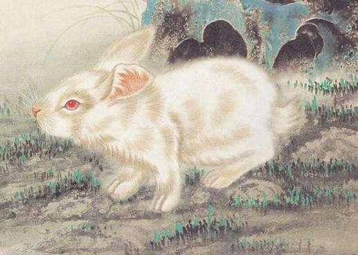 生肖富贵命揭秘，兔、鼠等属相天生财运亨通，寅时出生的鸡和辰时的猪尤为突出。插图