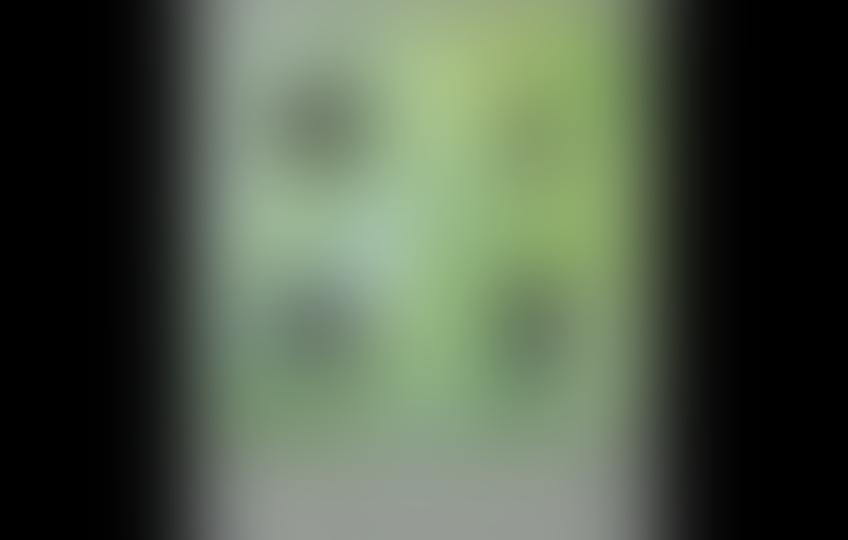 水储风絮夕阳天是什么生肖（水储风絮夕阳天是什么生肖打一数）插图