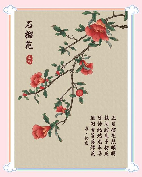 石榴花花语,成熟之美与幸福憧憬插图 石榴花花语,成熟之美与幸福憧憬插图
