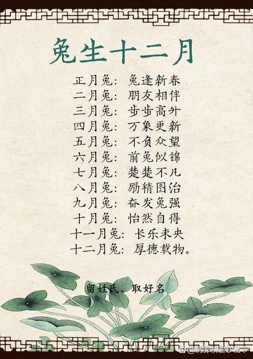 十兔九苦，最命苦的兔子的出生月份插图