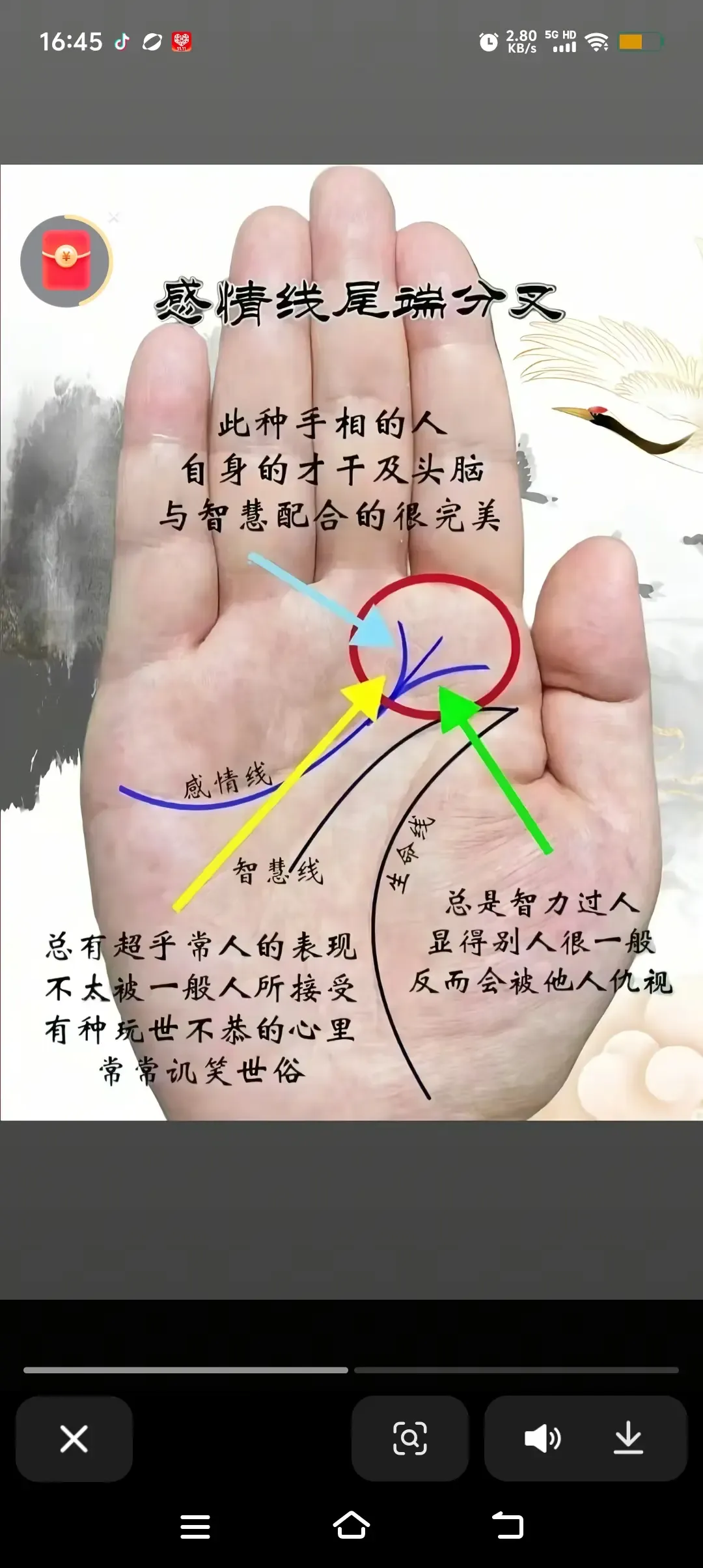 手相解析，生命线分叉预示命运波折与人生选择插图