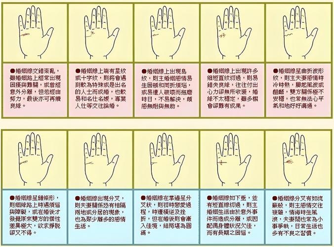 手纹解析与富贵命相,揭秘手纹中的财富密码插图 手纹解析与富贵命相,揭秘手纹中的财富密码插图
