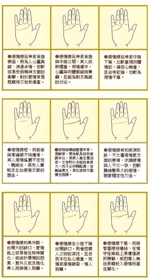 手相解析，从纹理看性格与财运特征插图