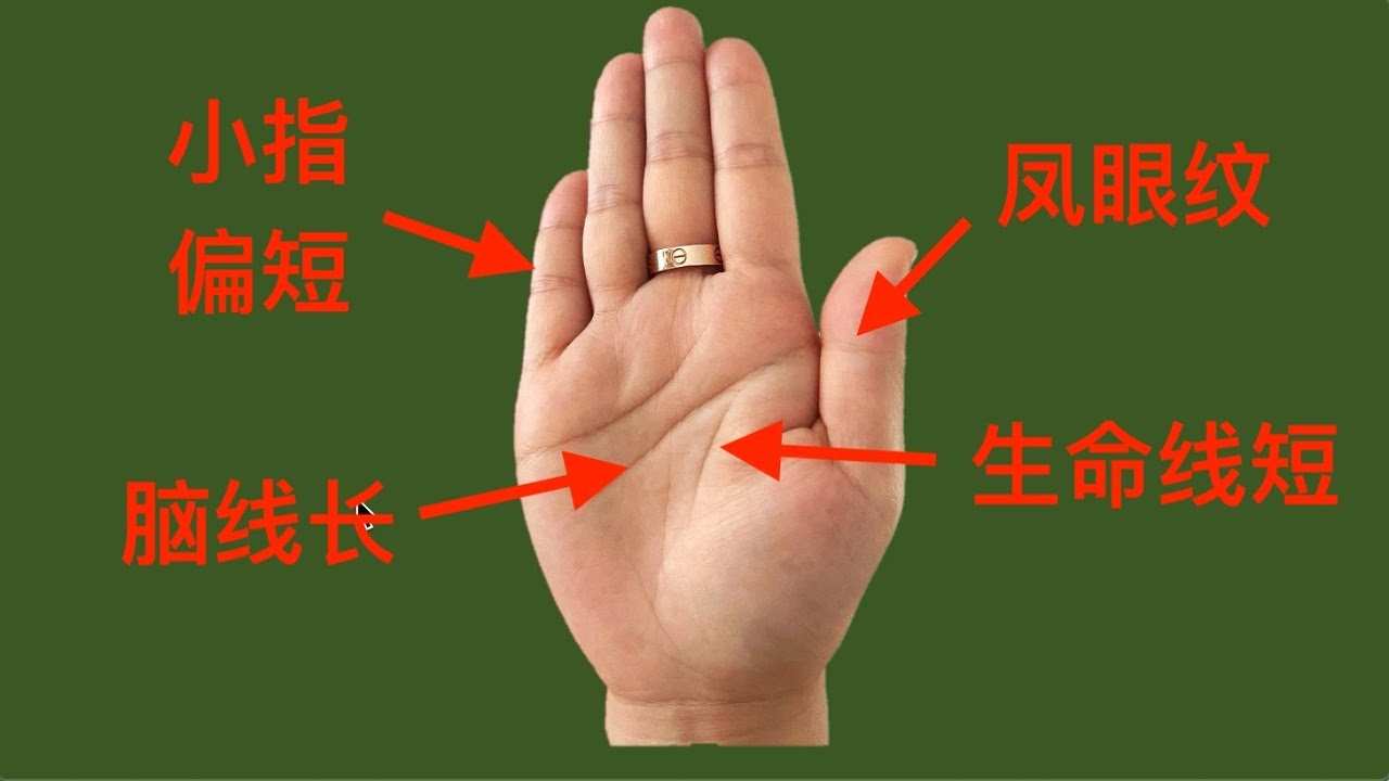 手相解析，生命线形态揭示的寿命暗示与体质预警插图